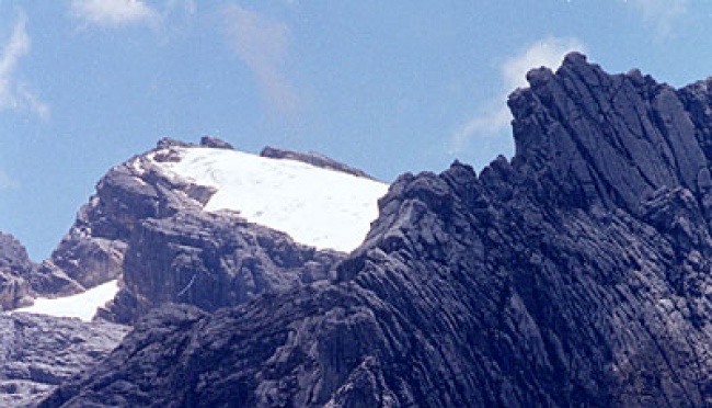 lingkungan alam gunung Puncak Jaya
