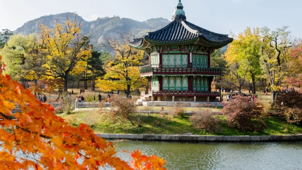 Tips Lingkungan di Korea